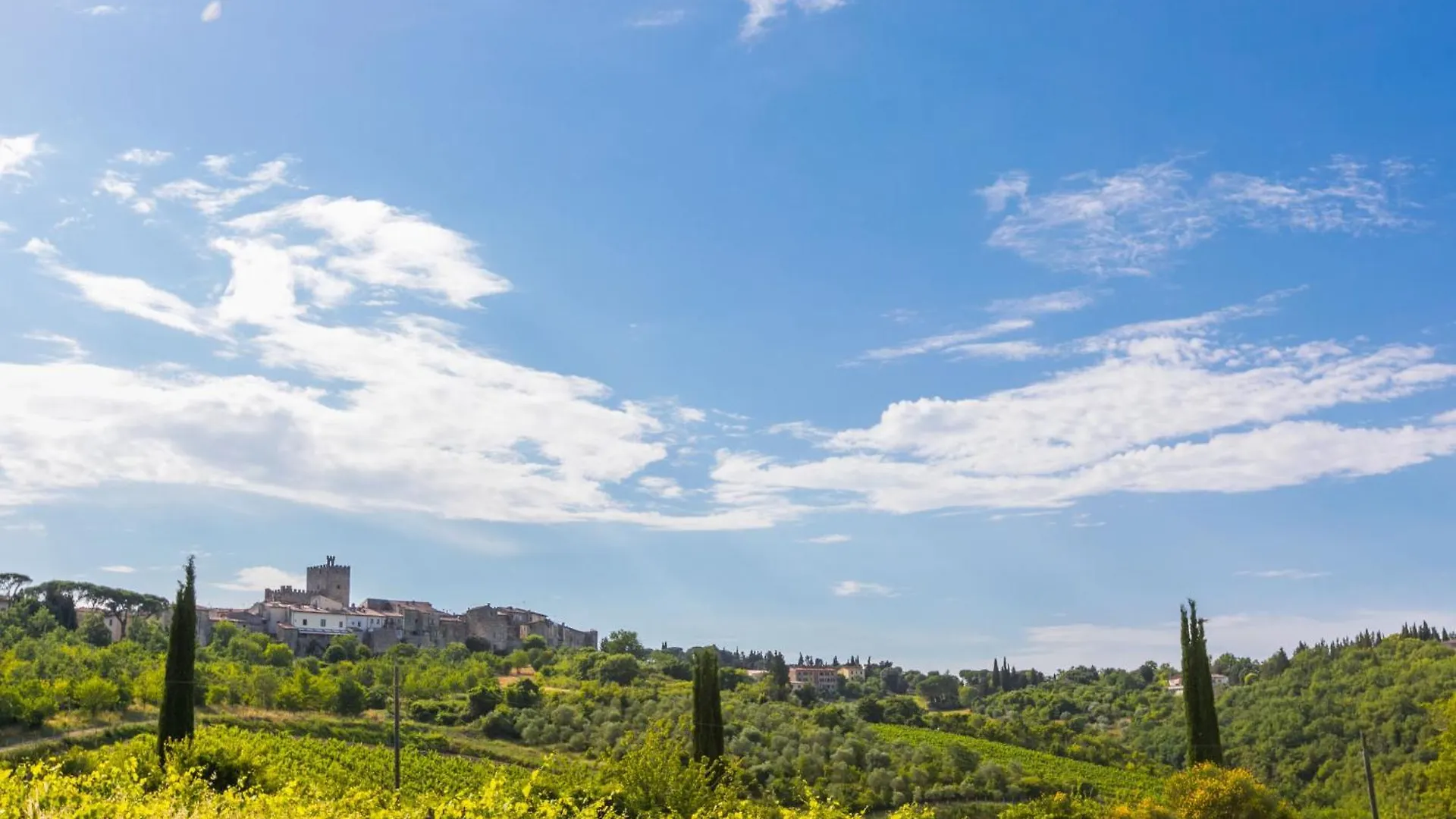 Holiday Home Cerretino - Tettoia By Interhome Castellina in Chianti